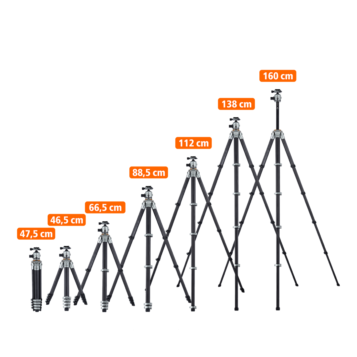 Lion Rock Traveler Pro inkl. Stativkopf