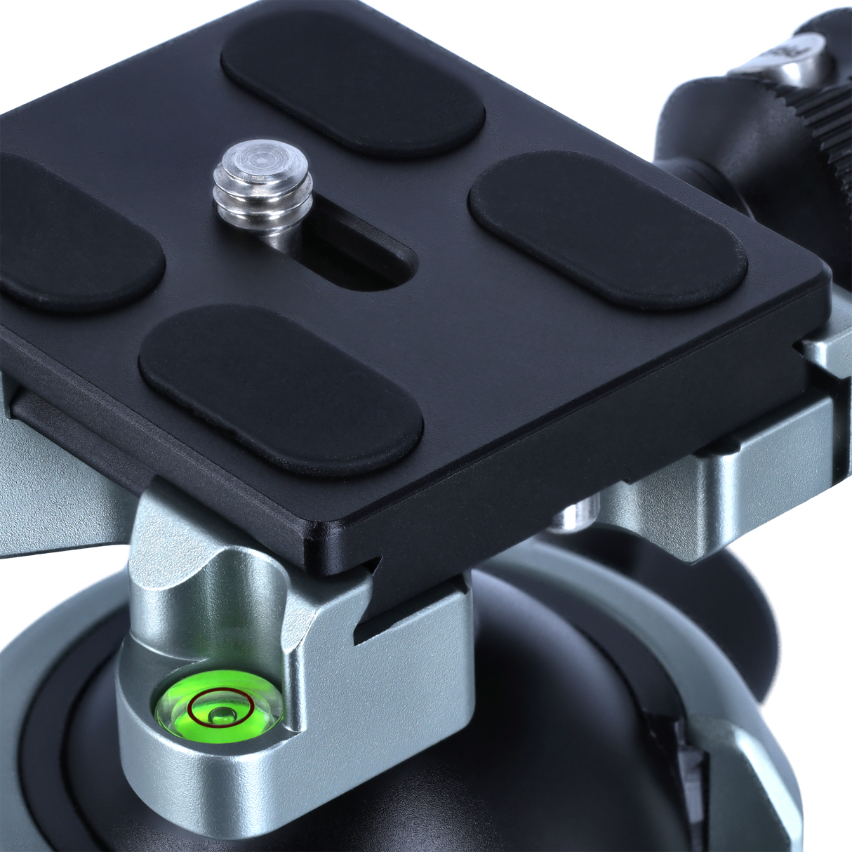 Stativkopf | für Lion Rock Pro