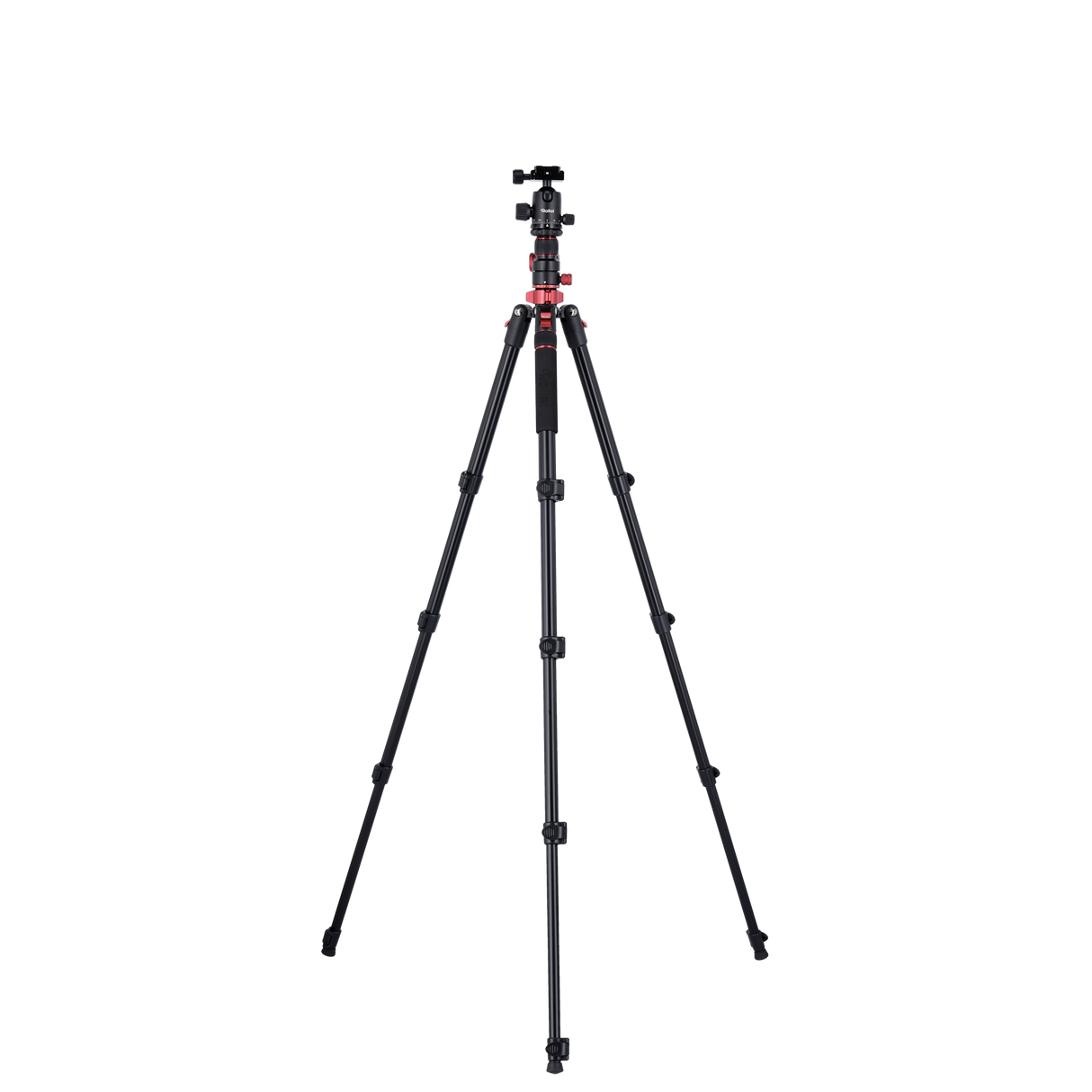 Stativ I Compact Traveler No.2 XL I Foto