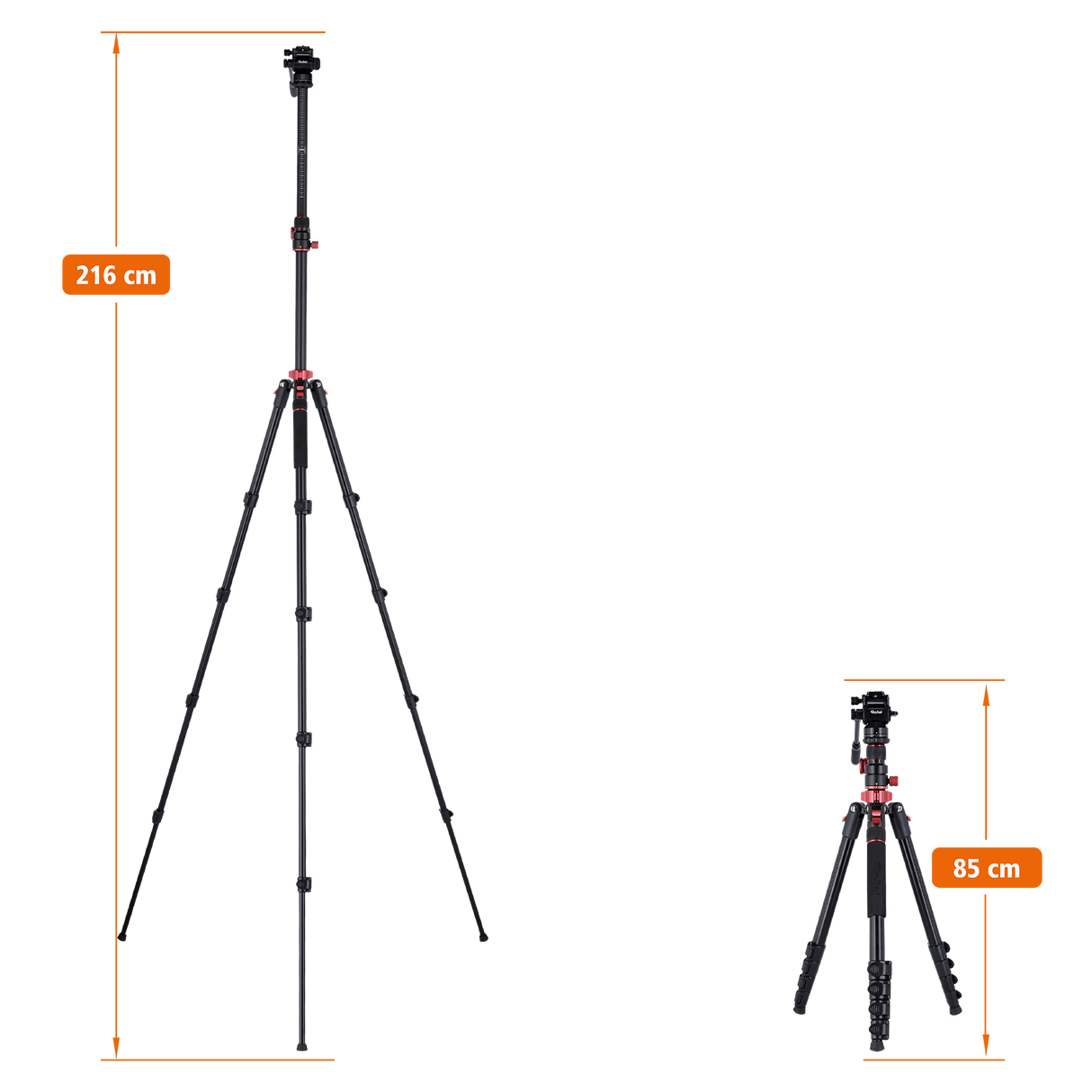 Stativ I Compact Traveler No.2 XL I Video