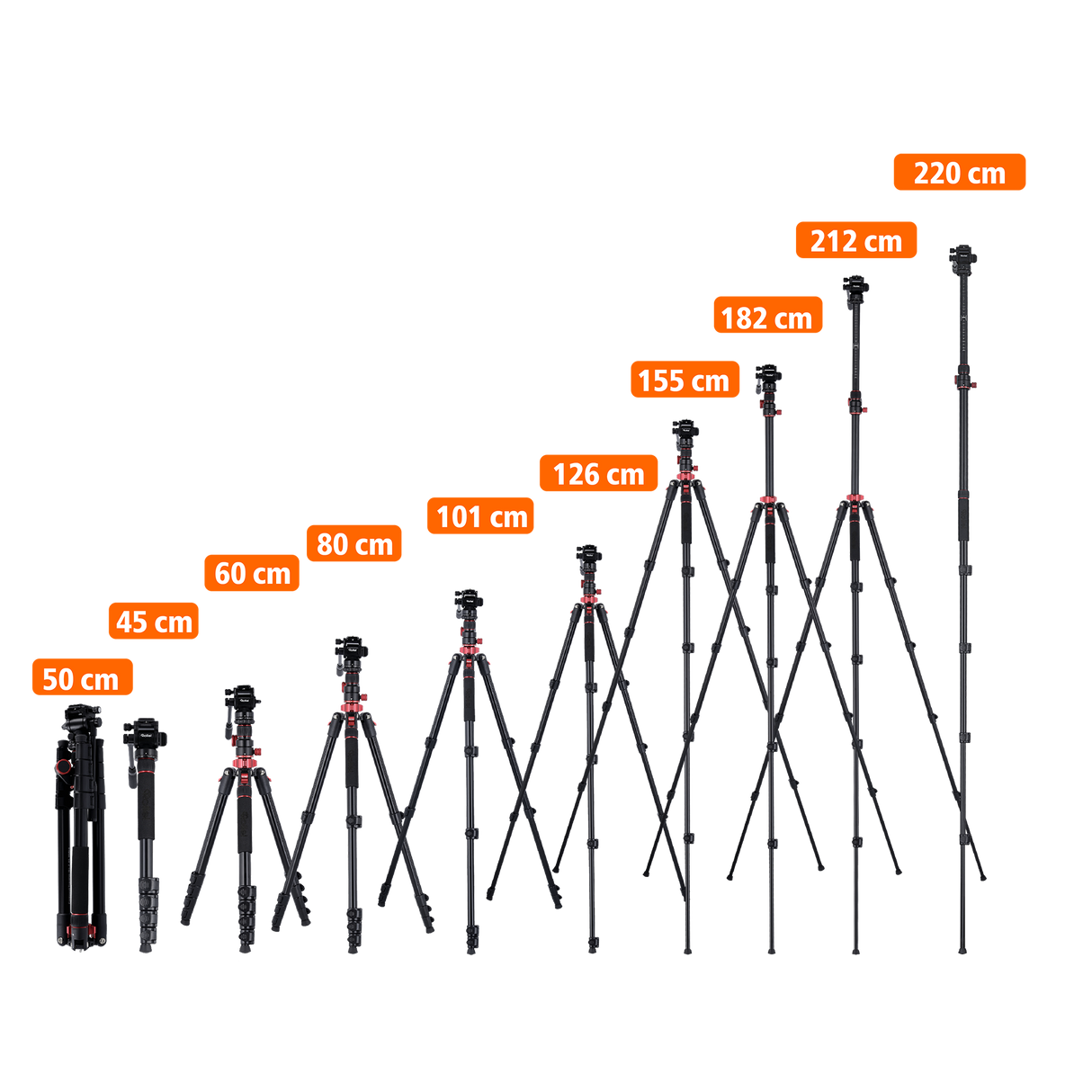 Stativ I Compact Traveler No.2 XL I Video