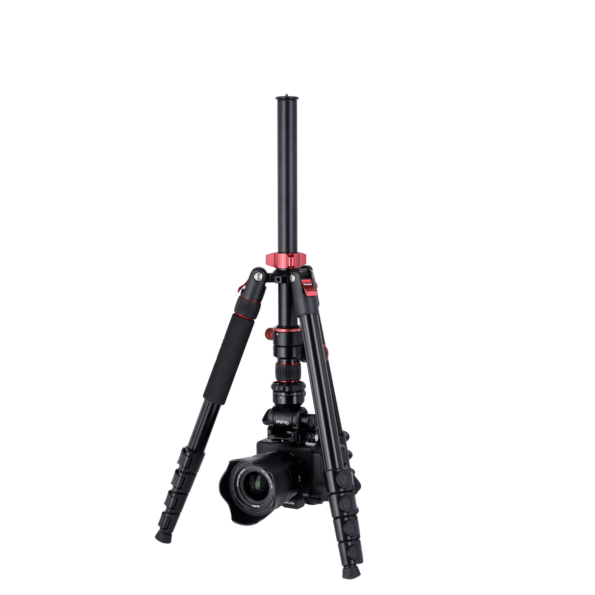 Stativ I Compact Traveler No.2 XL I Video