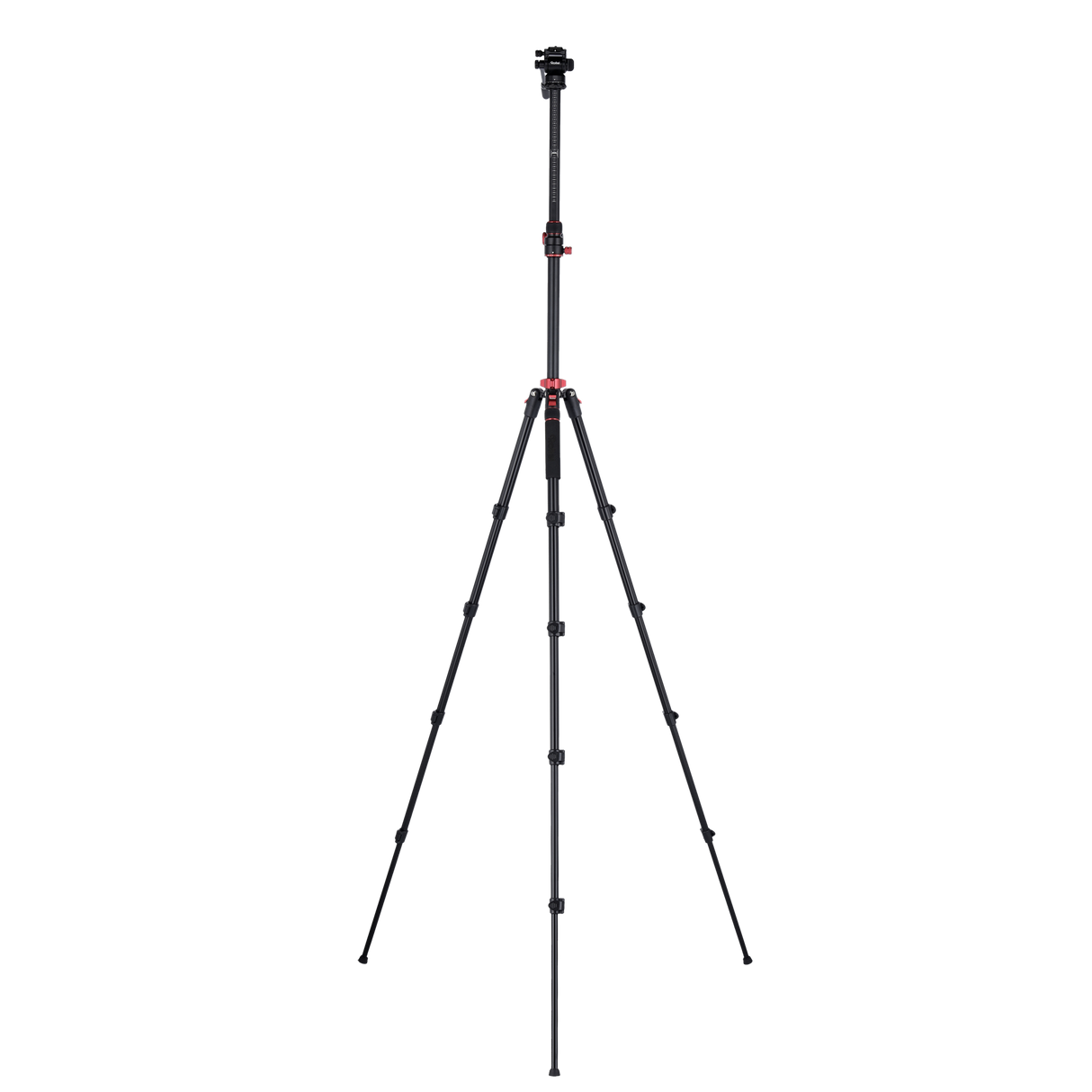 Stativ I Compact Traveler No.2 XL I Video