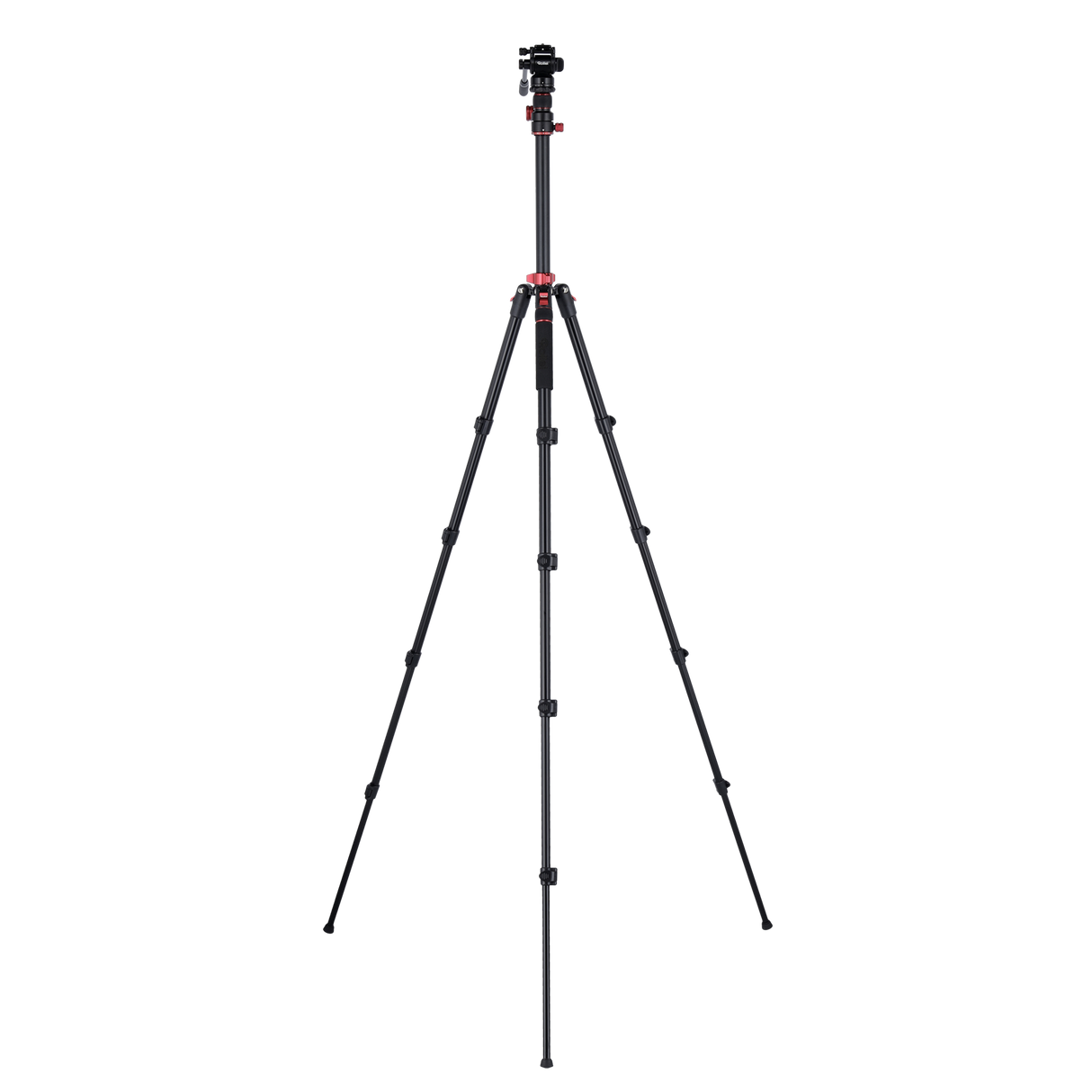 Stativ I Compact Traveler No.2 XL I Video