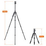 Stativ | Carbon | C5i