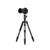 Stativ | Carbon | C5i