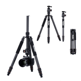 Stativ | Carbon | C6i