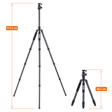 Stativ | Carbon | C6i