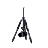 Stativ | Carbon | C6i