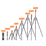 Stativ | Carbon | C6i