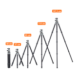 Lion Rock Pro inkl. Stativkopf