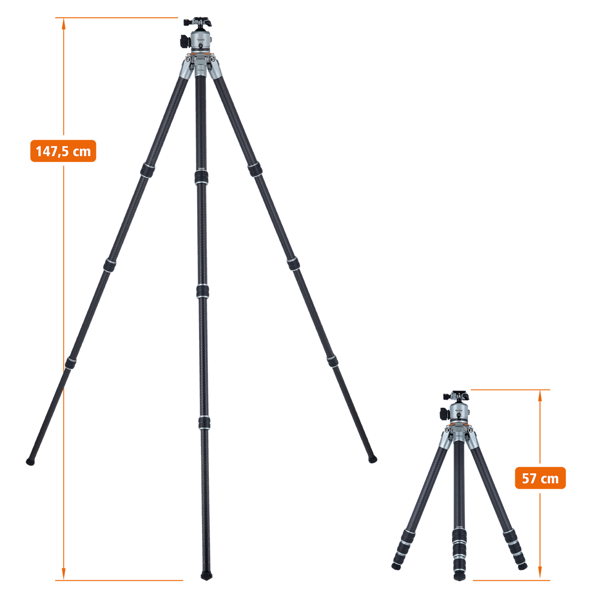 Lion Rock Pro inkl. Stativkopf