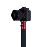 B-Ware Easy Traveler Monopod Carbon