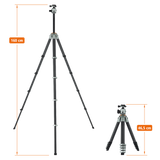 Lion Rock Traveler Pro inkl. Stativkopf
