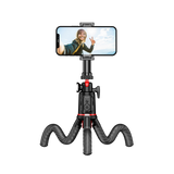 B-Ware Easy Creator MonkeyPod
