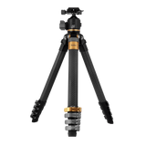 B-Ware Lion Rock Traveler Pro Black-Edition