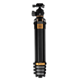 B-Ware Lion Rock Traveler Pro Black-Edition