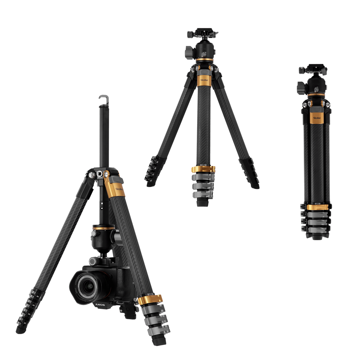 B-Ware Lion Rock Traveler Pro Black-Edition