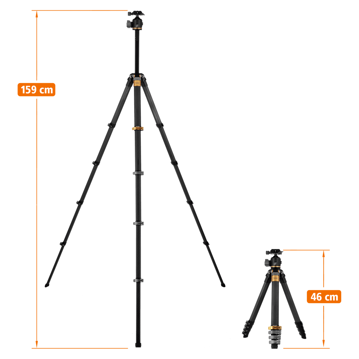 B-Ware Lion Rock Traveler Pro Black-Edition