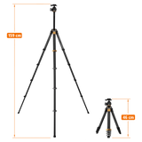 B-Ware Lion Rock Traveler Pro Black-Edition