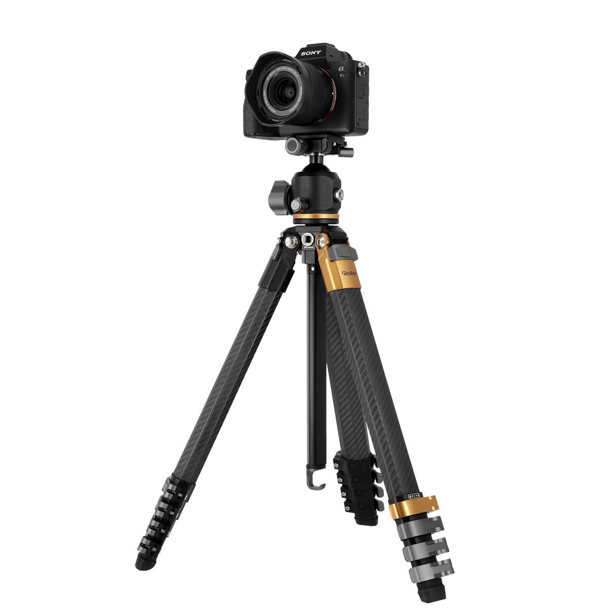 B-Ware Lion Rock Traveler Pro Black-Edition
