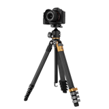 B-Ware Lion Rock Traveler Pro Black-Edition