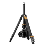 B-Ware Lion Rock Traveler Pro Black-Edition