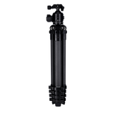 B-Ware Lion Rock Traveler Pro All Black