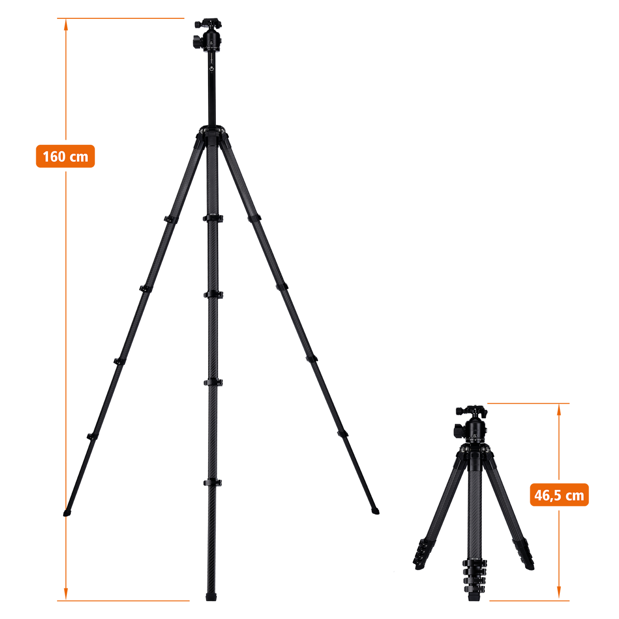 B-Ware Lion Rock Traveler Pro All Black