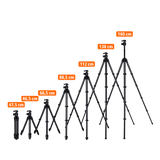 B-Ware Lion Rock Traveler Pro All Black