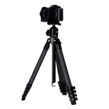 B-Ware Lion Rock Traveler Pro All Black