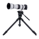 Lion Rock Pro Instinct Video inkl. Stativkopf