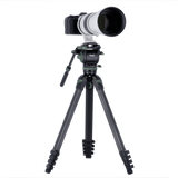 Lion Rock Pro Instinct Video inkl. Stativkopf