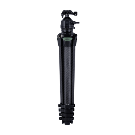 Lion Rock Pro Instinct inkl. Stativkopf