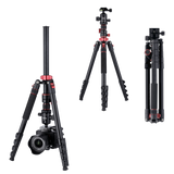 Stativ I Compact Traveler No.2 XL I Foto