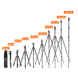 Stativ I Compact Traveler No.2 XL I Foto