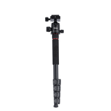 Stativ I Compact Traveler No.2 XL I Foto