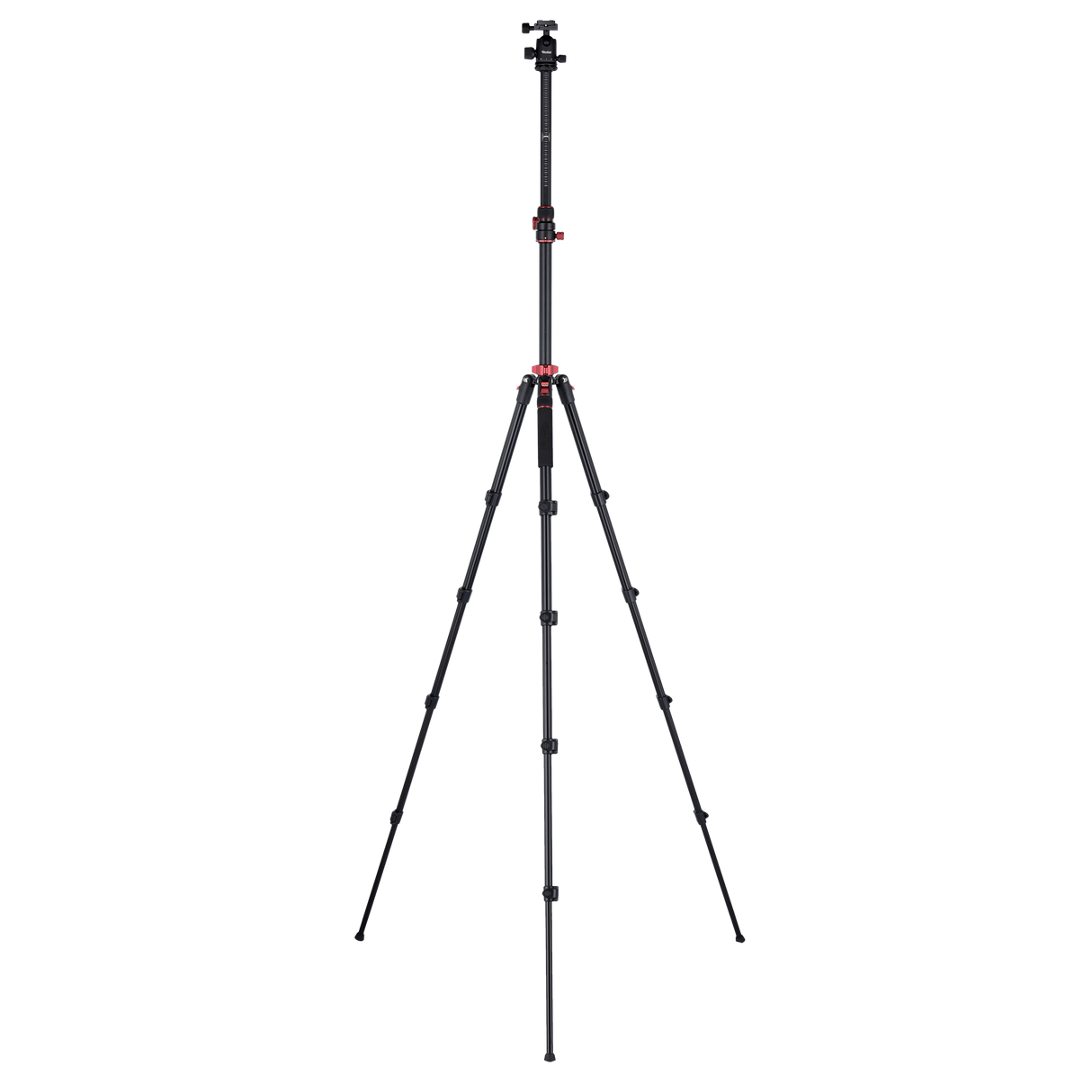 Stativ I Compact Traveler No.2 XL I Foto