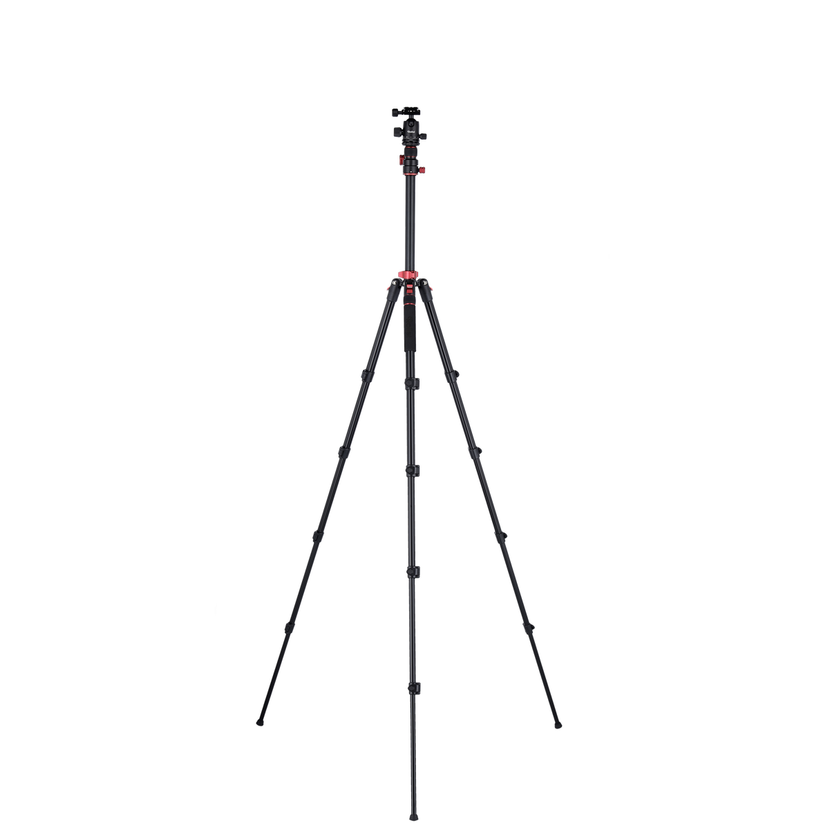 Stativ I Compact Traveler No.2 XL I Foto