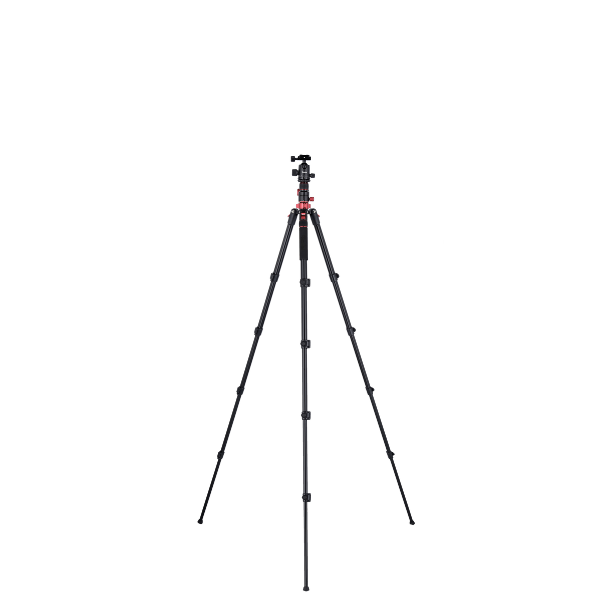 Stativ I Compact Traveler No.2 XL I Foto
