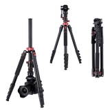 Stativ I Compact Traveler No.2 XL I Video