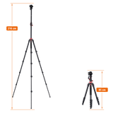 Stativ I Compact Traveler No.2 XL I Video