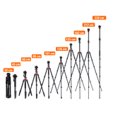 Stativ I Compact Traveler No.2 XL I Video