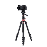 Stativ I Compact Traveler No.2 XL I Video