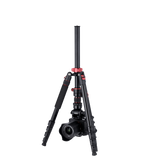 Stativ I Compact Traveler No.2 XL I Video