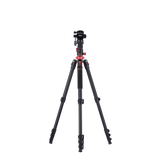 Stativ I Compact Traveler No.2 XL I Video