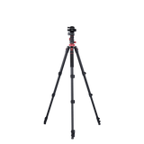 Stativ I Compact Traveler No.2 XL I Video