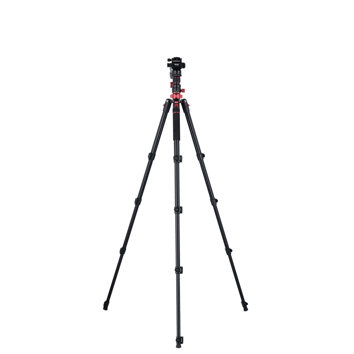 Stativ I Compact Traveler No.2 XL I Video