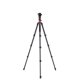 Stativ I Compact Traveler No.2 XL I Video