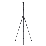 Stativ I Compact Traveler No.2 XL I Video